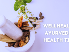 Discover the Best Wellhealth Ayurvedic Health Tips